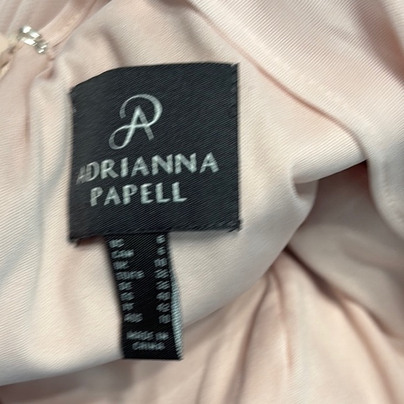 Adrianna Papell Blush Formal Dress - Picture 9 of 9